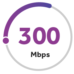 300 Megabits Per Second Download Speed